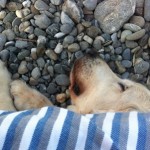 spiaggia