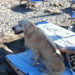 baubeach