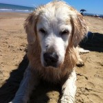 spiaggia
