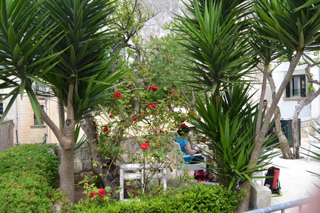 Il Giardino Nascosto