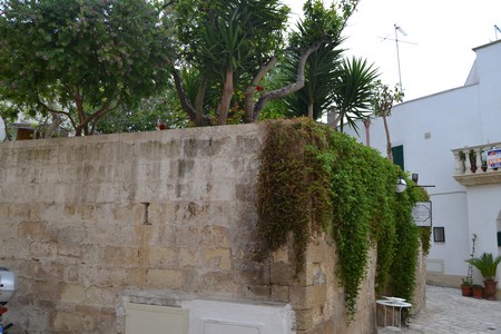Il Giardino Nascosto