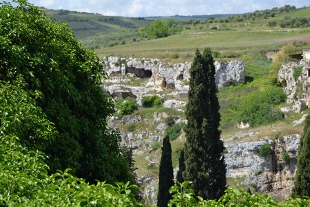 Gravina