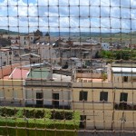 Gravina