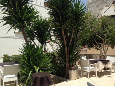 Il Giardino Nascosto