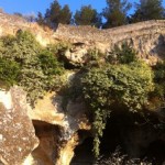 Gravina