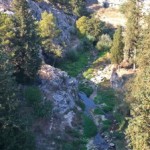 Gravina