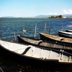 Lesina e Varano