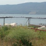 lagune