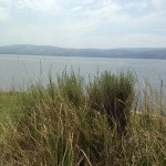 lagune