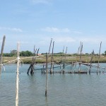 lagune