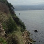 lagune