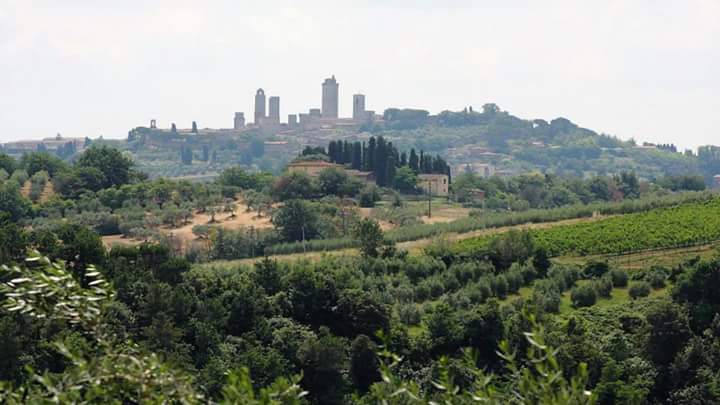 l'altra toscana 1