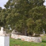 la lavanda della casa degli uccellini