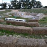 la lavanda della casa degli uccellini