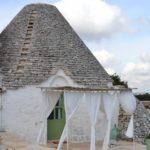 la lavanda della casa degli uccellini