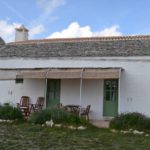 la lavanda della casa degli uccellini