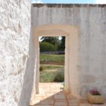 la lavanda della casa degli uccellini