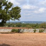 la lavanda della casa degli uccellini