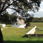 la lavanda della casa degli uccellini
