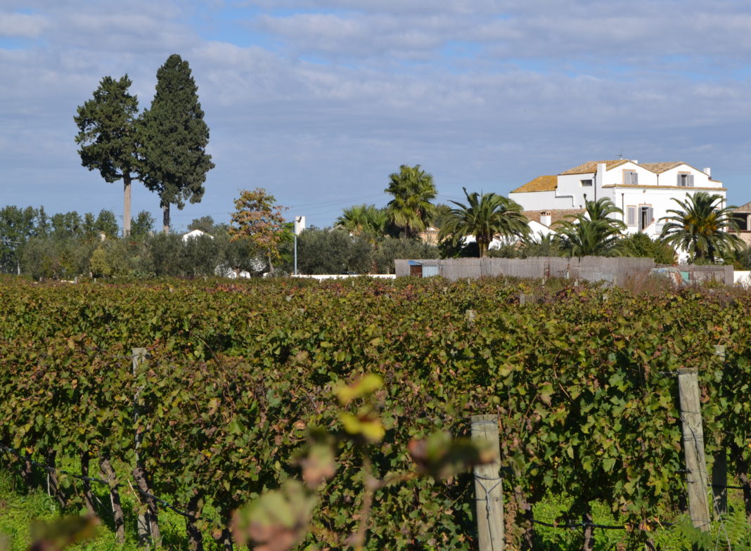 Masseria Celentano