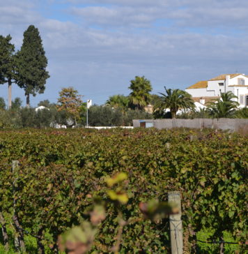 Masseria Celentano. Sul filo del tempo Masseria Celentano