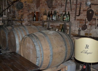 San Severo: rivers of history and wine 2 San Severo