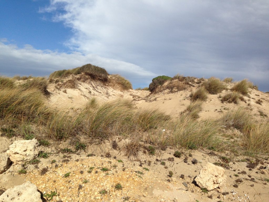 mare d'inverno