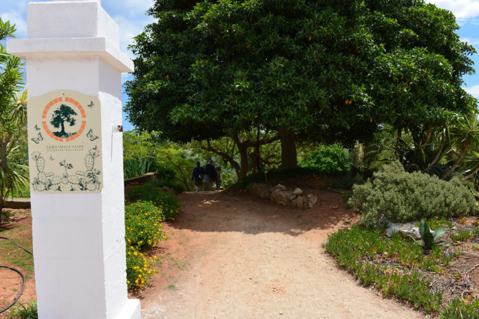 2-Monopoli-Il-Colore-in-Giardino-FAI