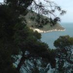 Vieste