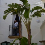 Corte Manta