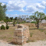 Masseria Palombara