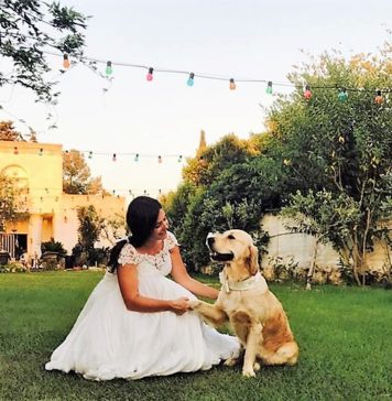 Sull’altare a 4 gambe e a 4 zampe wedding