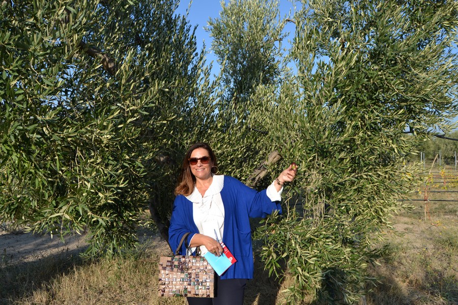 Pietra di Scarto