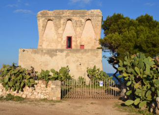 Torre Incina, la vedetta sulla cala Torre Incina