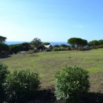 Tenuta delle Ripalte