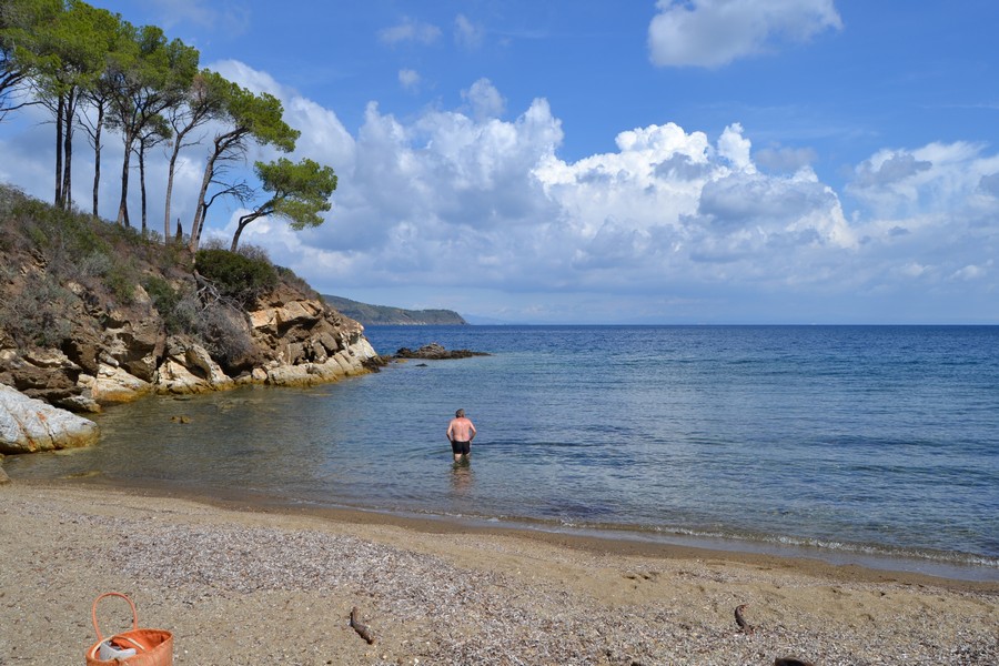 Tenuta delle Ripalte