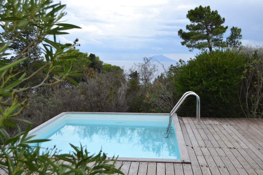 Tenuta delle Ripalte