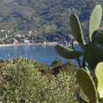Levanto
