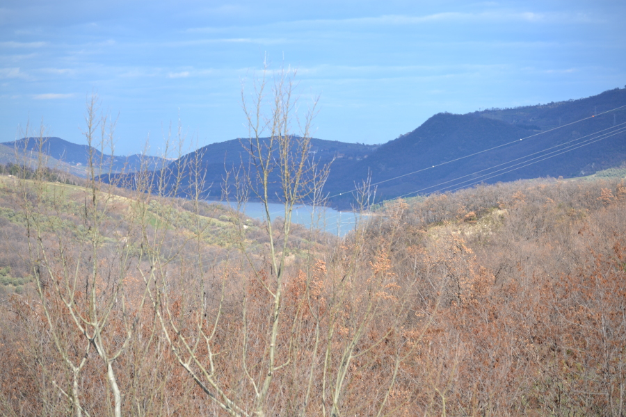 Molise