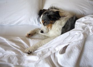 Fido Hotel – prima parte hotel