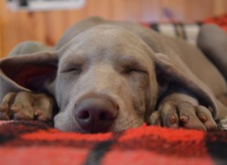Fido hotel – seconda parte hotel
