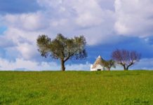 Author views in Puglia