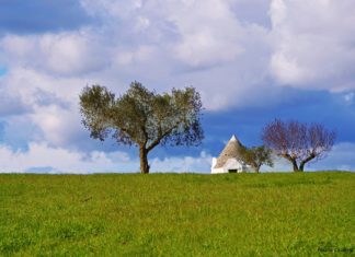 Visioni d’autore in Puglia