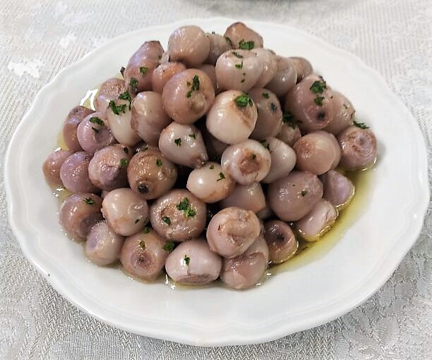 Minervino