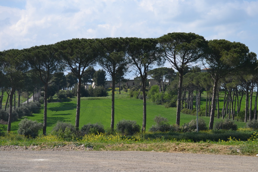 LOrecchietta