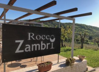 Rocco Zambri Bed&Wine: dormire in vigna Rocco Zambri Bed&Wine
