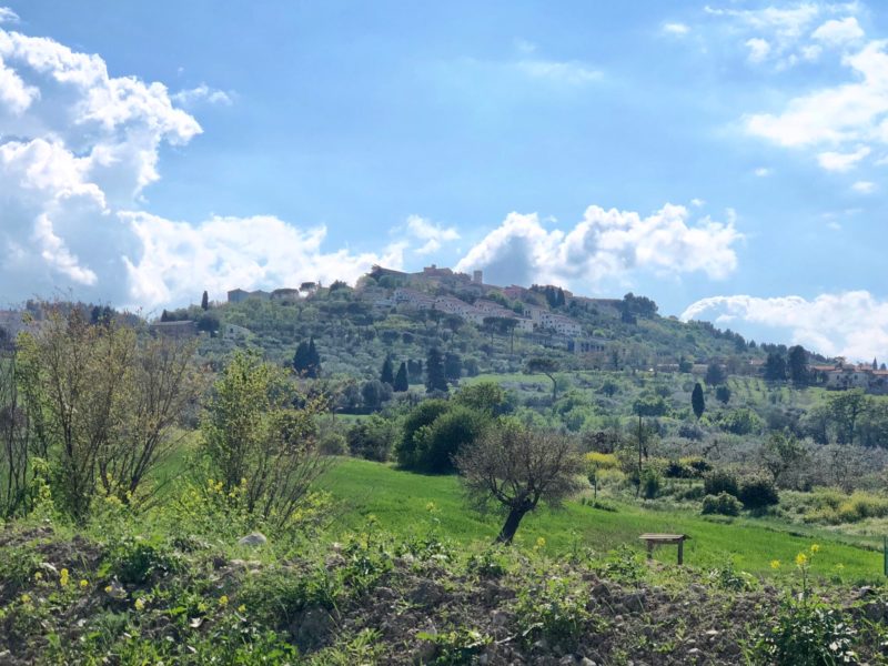 L'Orecchietta