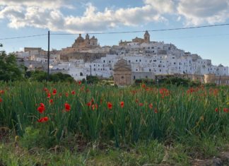Ostuni, l’incanto della Città Bianca Ostuni