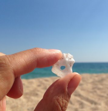 Godersi mare e relax in Puglia Puglia