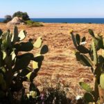mare di Puglia